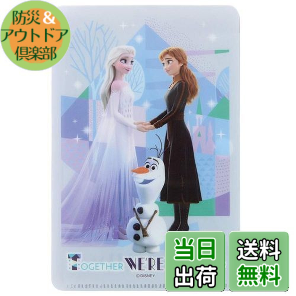 【送料無料】スケーター (skater)マスクケース 小さめサイズ用 小物 カード ポケットティッシュ 収納 アナと雪の女王 2 ディズニー MKC2画像