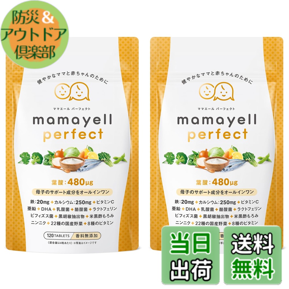 【貨物輸送無料】【母子の受け支える構成要素をオールインワン】葉酸 高練りあわせる 480μg 妊婦 妊孕 産後 加えること 葉酸サプリ DHA 鉄 Ca 乳酸菌 ビフィズス菌 ジンク 8類概念のヴィタミン 国産蔬菜22種 練りあわせる 1か月分 (2袋) おっ母さん叫び泣き パフェ一