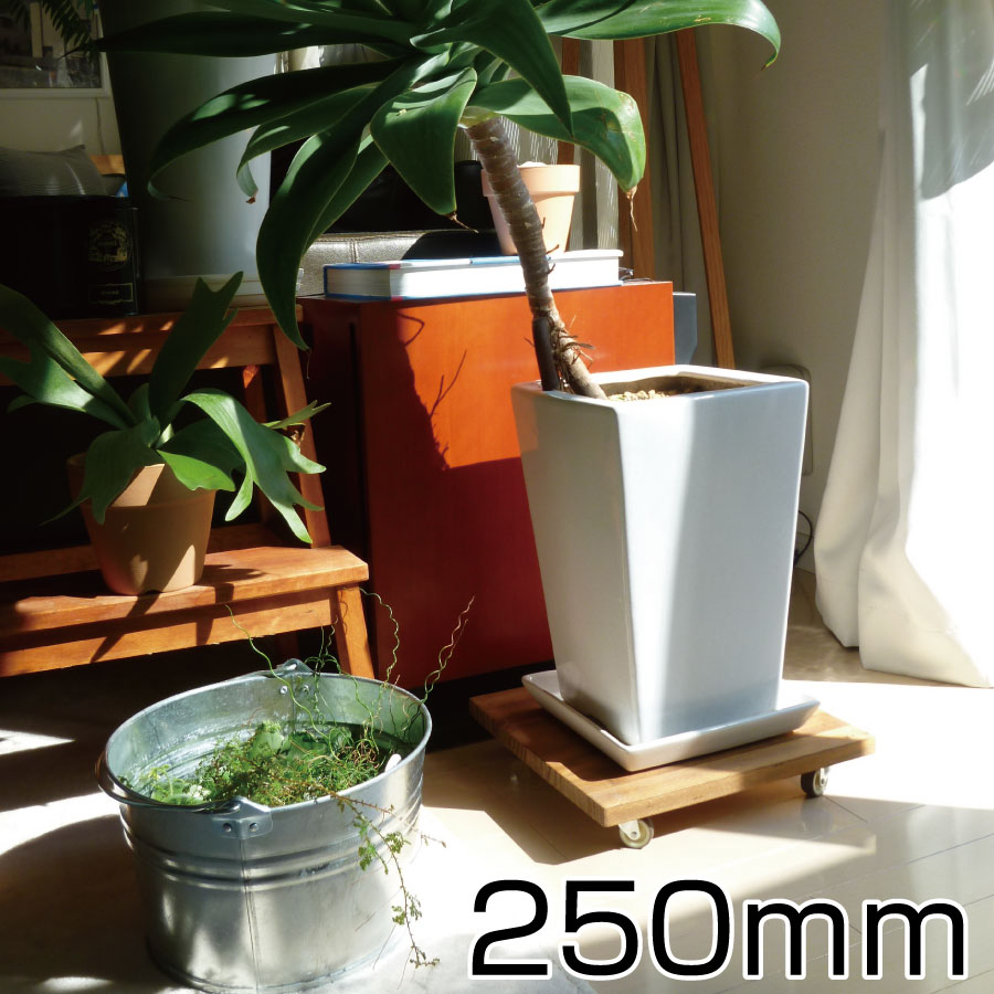 プランターベース 250mmサイズ スタンド プレート 花 移動 Diy 鉢受け その他 観葉植物 鉢置き