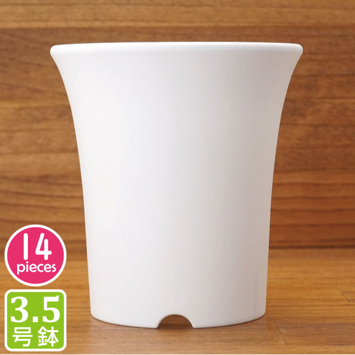 楽天市場】植木鉢 おしゃれ ミニラン鉢 4号（6個セット）黒 ブラック プラスチック鉢 ミニ蘭 多肉植物 サボテン タニサボ : grassland  （グラスランド）