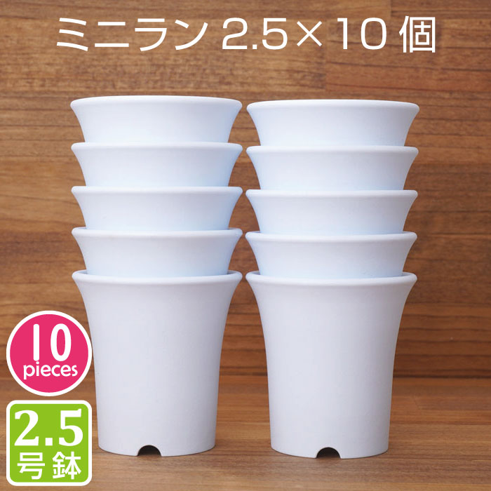 楽天市場 植木鉢2 5号 ミニラン鉢 10個セット 白 ホワイト プラスチック鉢 ミニ蘭 2 5号鉢 実生 育苗 多肉植物 サボテン タニサボ Grassland グラスランド