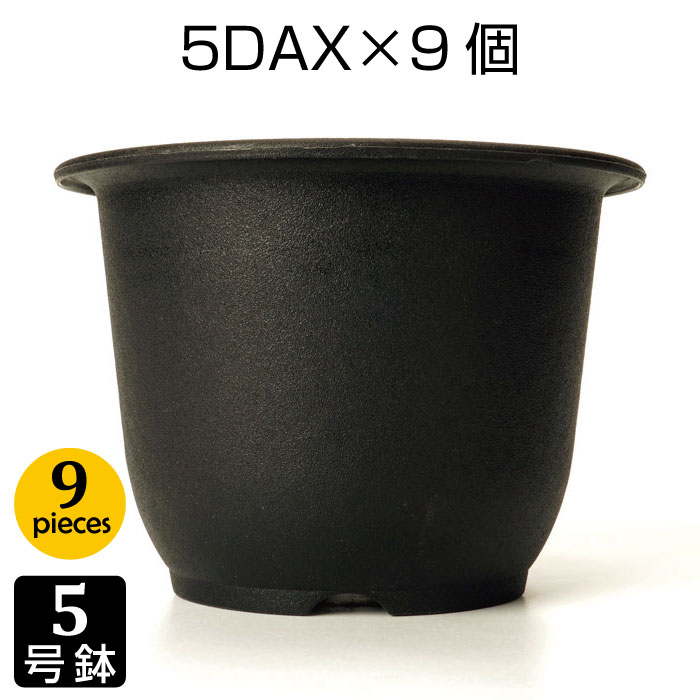 磯山4点セット　人気鉢 imgrc0090133759.jpg