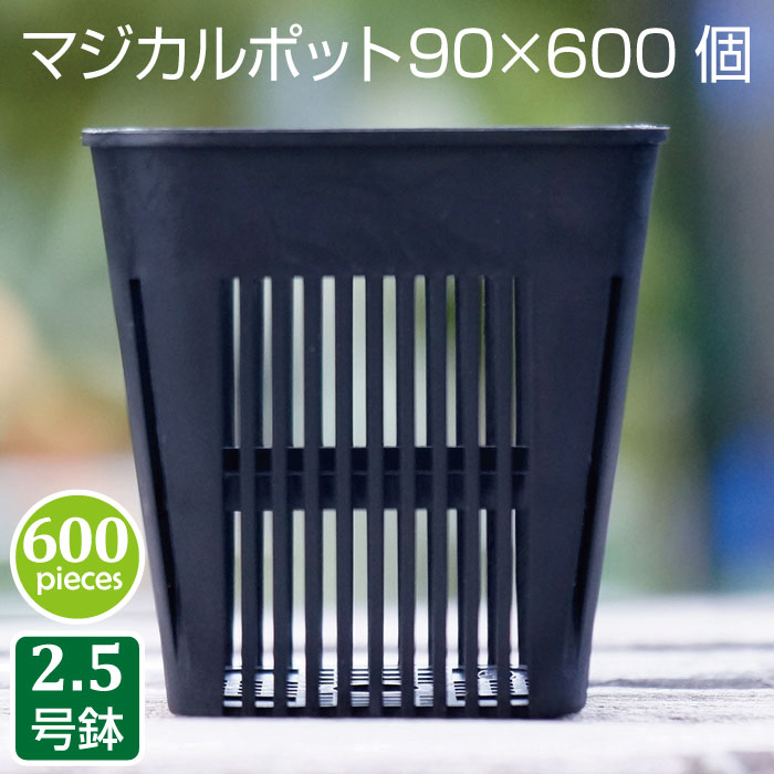 【楽天市場】植木鉢 マジカルポット90（40個セット）2.5号 プラスチック鉢 プランター 実生 育苗 多肉植物 サボテン 根腐れ防止 鉢内温度低下  根巻き防止 通気性抜群 タニサボ : grassland （グラスランド）