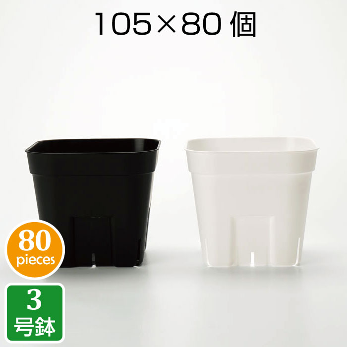 【楽天市場】プレステラ105（10個セット）3号 プラ鉢 プラスチック鉢 プランター 鉢 実生 育苗 多肉植物 サボテン 用 : grassland  （グラスランド）