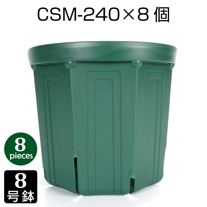 美形。カリステモン1.9M(鉢底から)品番C manganrinm_m_top.jpg