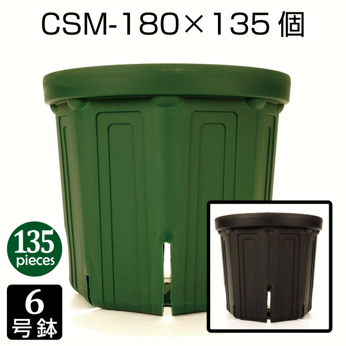 鉢 6号 CSM-180 （135個書き割り） CSポット 育苗鉢 可塑性物質鉢 細長い切口鉢 プランター 8角形