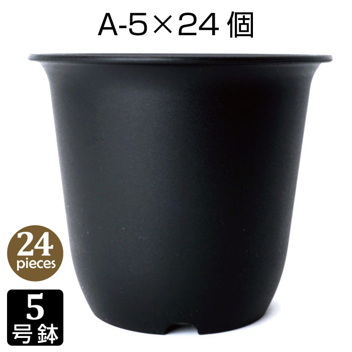 磯山4点セット　人気鉢 Kaiju Plant 大谷石 石鉢 Φ140mm x H120mm 0.7L アガベ 多肉
