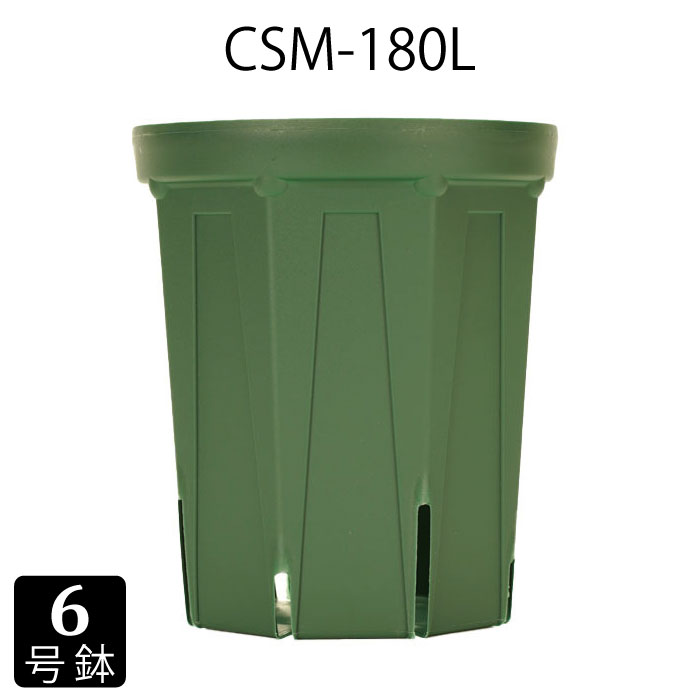 鉢 6号 CSM-180L 【深鉢】 CSポット ロング 育苗鉢 可塑性物質鉢 細長い切口鉢 プランター 8角形
