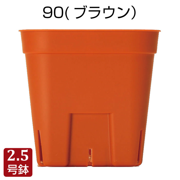 プレステラ90(ブラウン)プラスチック鉢 プランター 2.5号鉢 実生 育苗 多肉植物 サボテン 用|grassland (グラスランド)