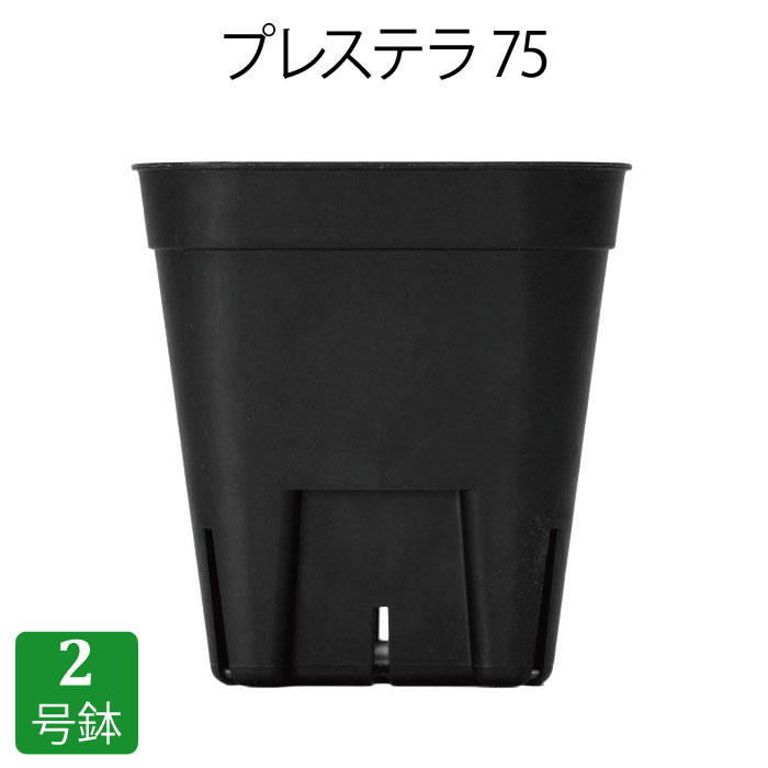 楽天市場】プレステラ75（2号鉢）プラスチック鉢 プランター 2号鉢