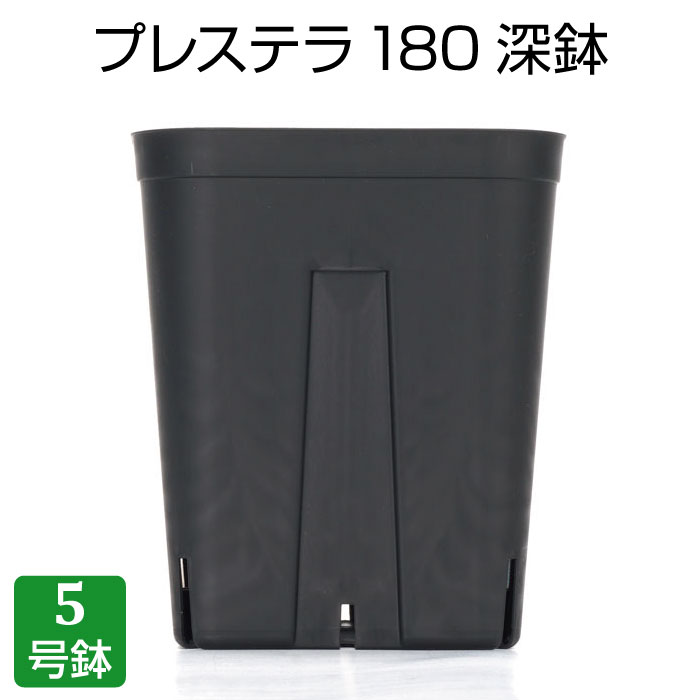 楽天市場】プレステラ120深鉢（56個セット）プラスチック鉢 プランター 3.5号鉢 実生 育苗 多肉植物 サボテン 用 : grassland  （グラスランド）