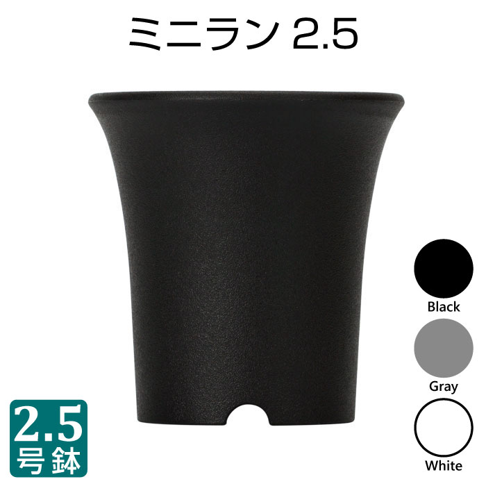 【楽天市場】植木鉢 ミニラン鉢 4.5号 Φ137mm プラスチック鉢 プランター 蘭 多肉植物 サボテン タニサボ : grassland  （グラスランド）