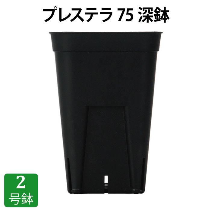 押しつけるテラ75深鉢（2号鉢）可塑性物質鉢 ロング プランター 2号鉢 実生 育苗 多肉植物 カクタス 用