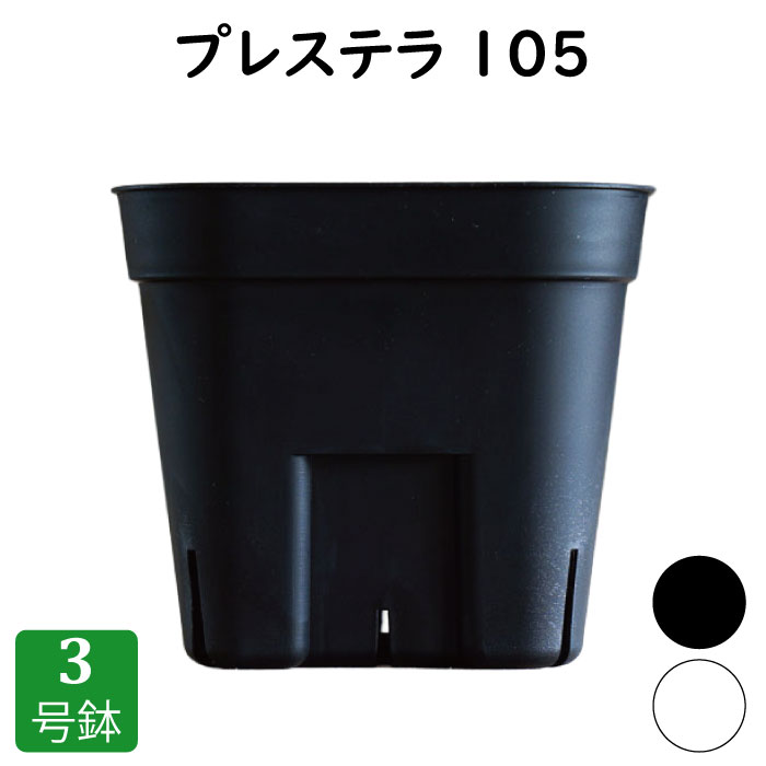 押しつけるテラ105 細長い切口鉢 3号 プラ鉢 可塑性物質鉢 プランター 鉢 実生 育苗 多肉植物 カクタス 用