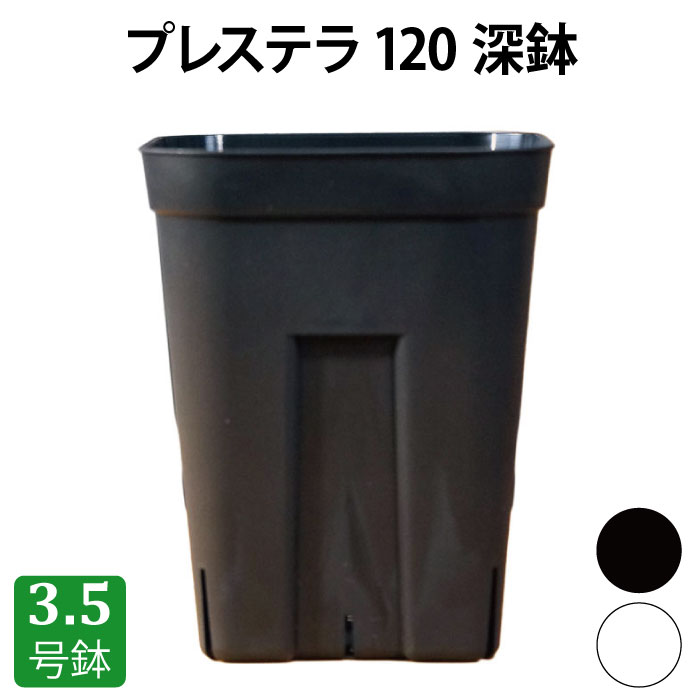 【ティーポットL：みどり】植木鉢 プランター 多肉植物 プレステラ プラ鉢 ティーポットL：みどり】植木鉢 プランター 多肉植物 プレステラ