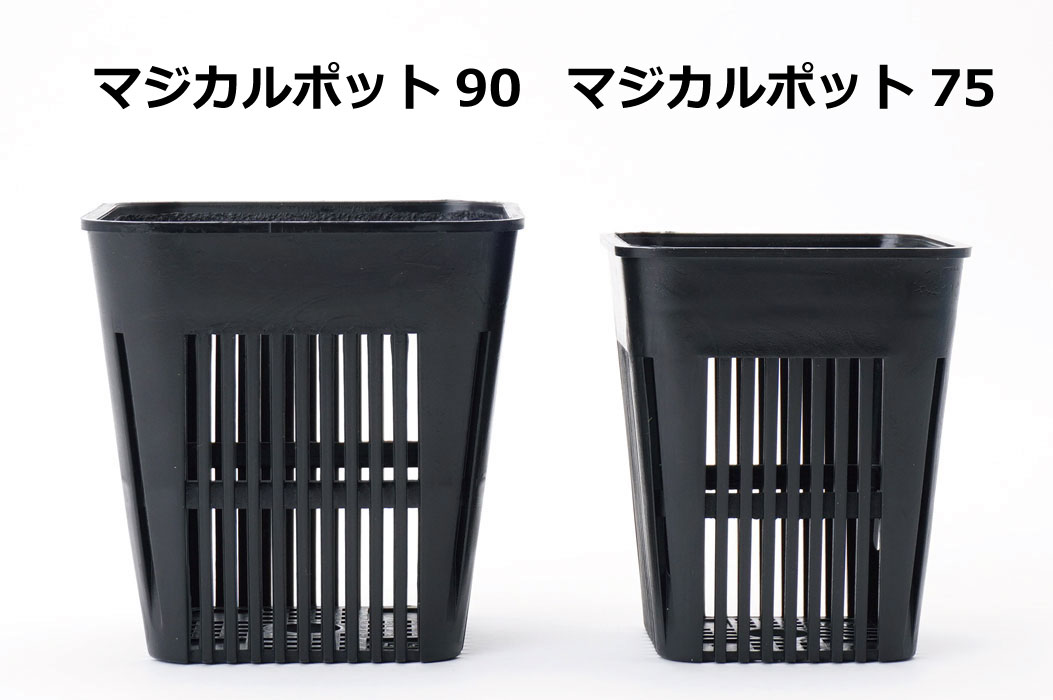✳️マジカルポット90✳️100個SET❗️お買い得✳️※根の生え方