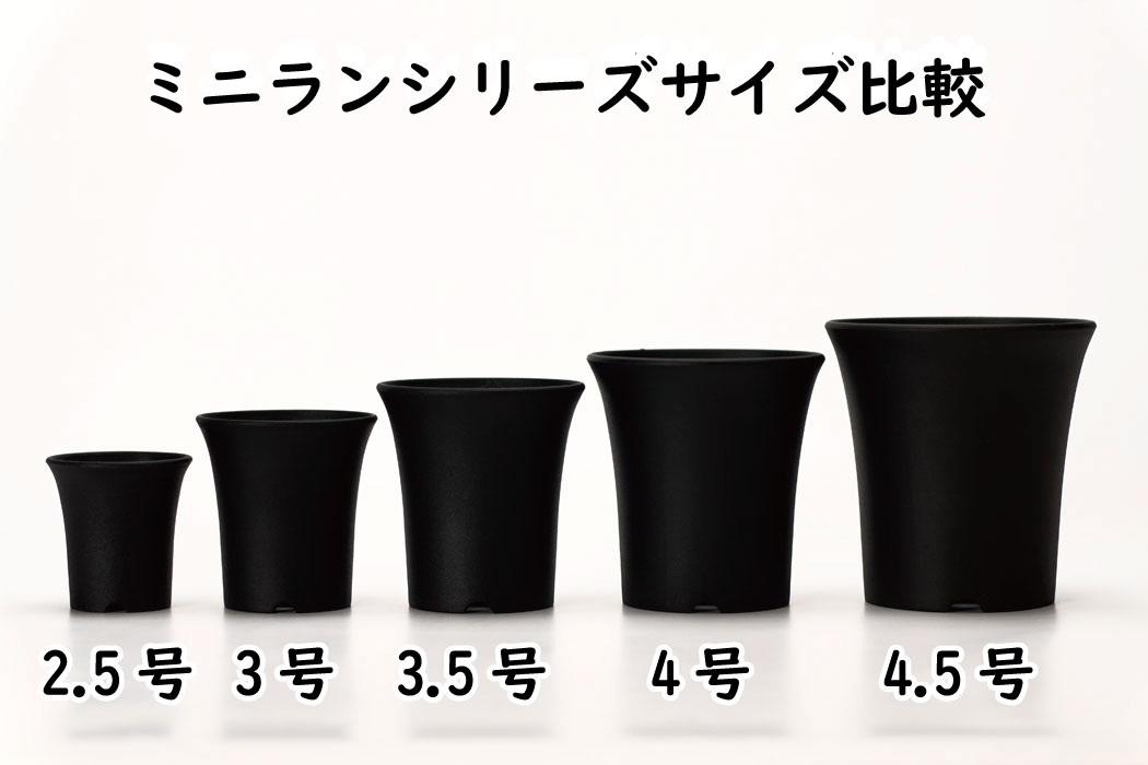 プラ鉢 4号 ミニラン鉢 6個セット 黒 ブラック プラスチック鉢 ミニ蘭 4号鉢 実生 育苗 多肉植物 サボテン タニサボ Educaps Com Br