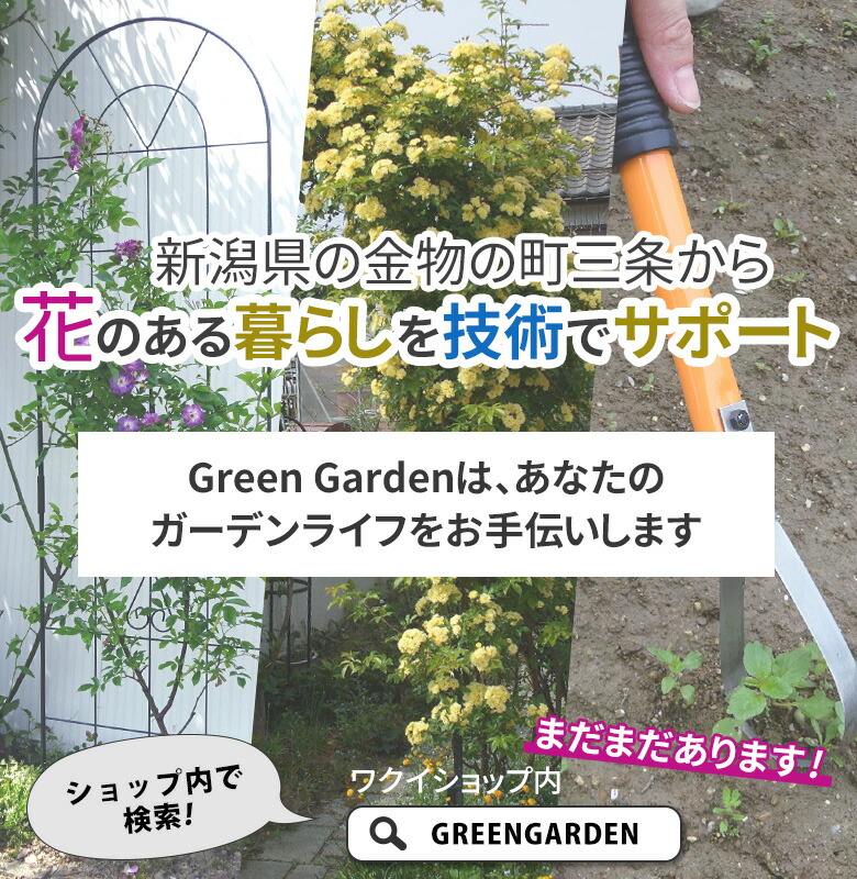 2021年新作 トレリスフェンスクラシックS 2P No.180 GREENGARDEN ガーデンフェンス アイアンフェンス 植物 ガーデニング用品  園芸用品 庭園 収穫 農業 緑 花 ガーデンファニチャー 小林金物 燕三条 whitesforracialequity.org