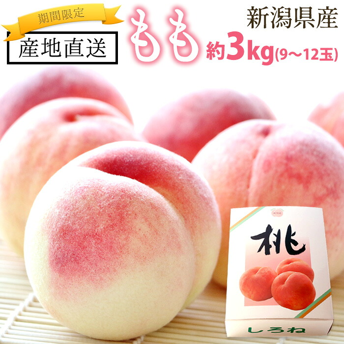 【夏季限定※予約※7月下旬頃～順次発送】【保証付】桃 約3kg（9～12玉） 白桃 もも 贈答用 自宅用 ◎熨斗対応可 新潟県 新潟産 新潟県産 産地直送 農家直送 送料無料 果物 フルーツ お中元 期間限定 ギフト プレゼント 笠原農園｜防犯防災専門店　ワクイショップ