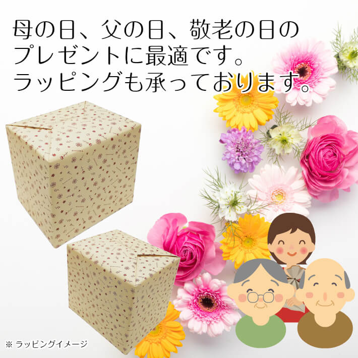 防災後景 年かさ向け二次守りセット 防災グッズ 火急避難セット ひとかたならず脱腸帯セット 非常持ち出しカバン ママの日にち御土産 お父様の日ギフト 敬老の日ギフト ギフト 母の日 父の日 敬老の日 Acilemat Com