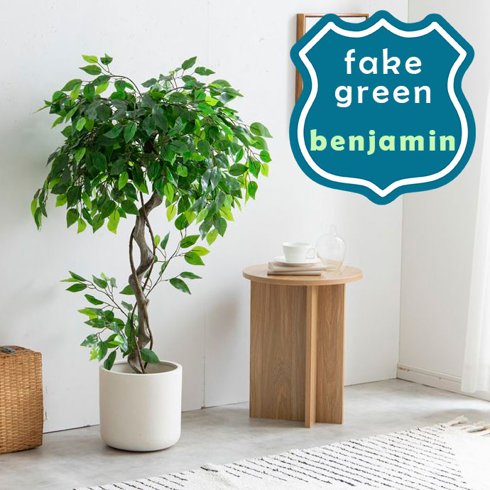 光触媒　人工観葉植物　フェイクグリーン　ベンジャミンスリム1.6m 楽天市場】【クーポンで10%OFF】 光触媒人工植物 ベンジャミン