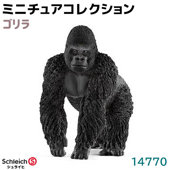 14770.jpg