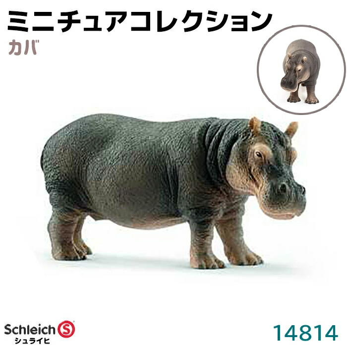 楽天市場】シュライヒ フィギュア アメリカワニ 14727 Schleich