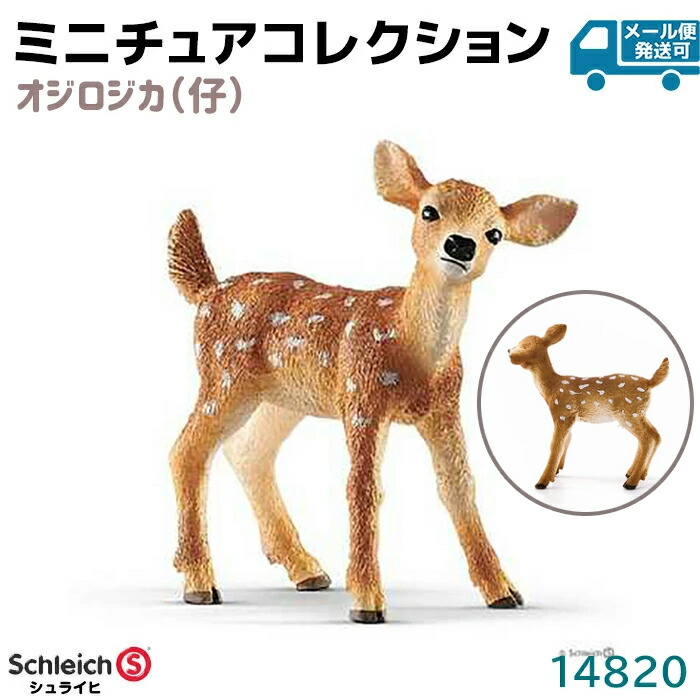 シュライヒ フィギュア オジロジカ 仔 14820 Schleich 5.2×5.3×2cm 鹿 子鹿 バンビ 動物フィギュア デザイン おもちゃ プレゼント インテリア ギフト ミニチュア トイ アニマル かわいい 知育玩具 ソフビ【メール便発送可】 39ショップ ポイント消化 お買い物マラソン画像