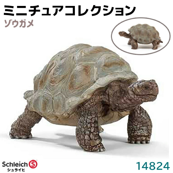 楽天市場】タイマイ 14876 動物 亀 カメ かめ フィギュア