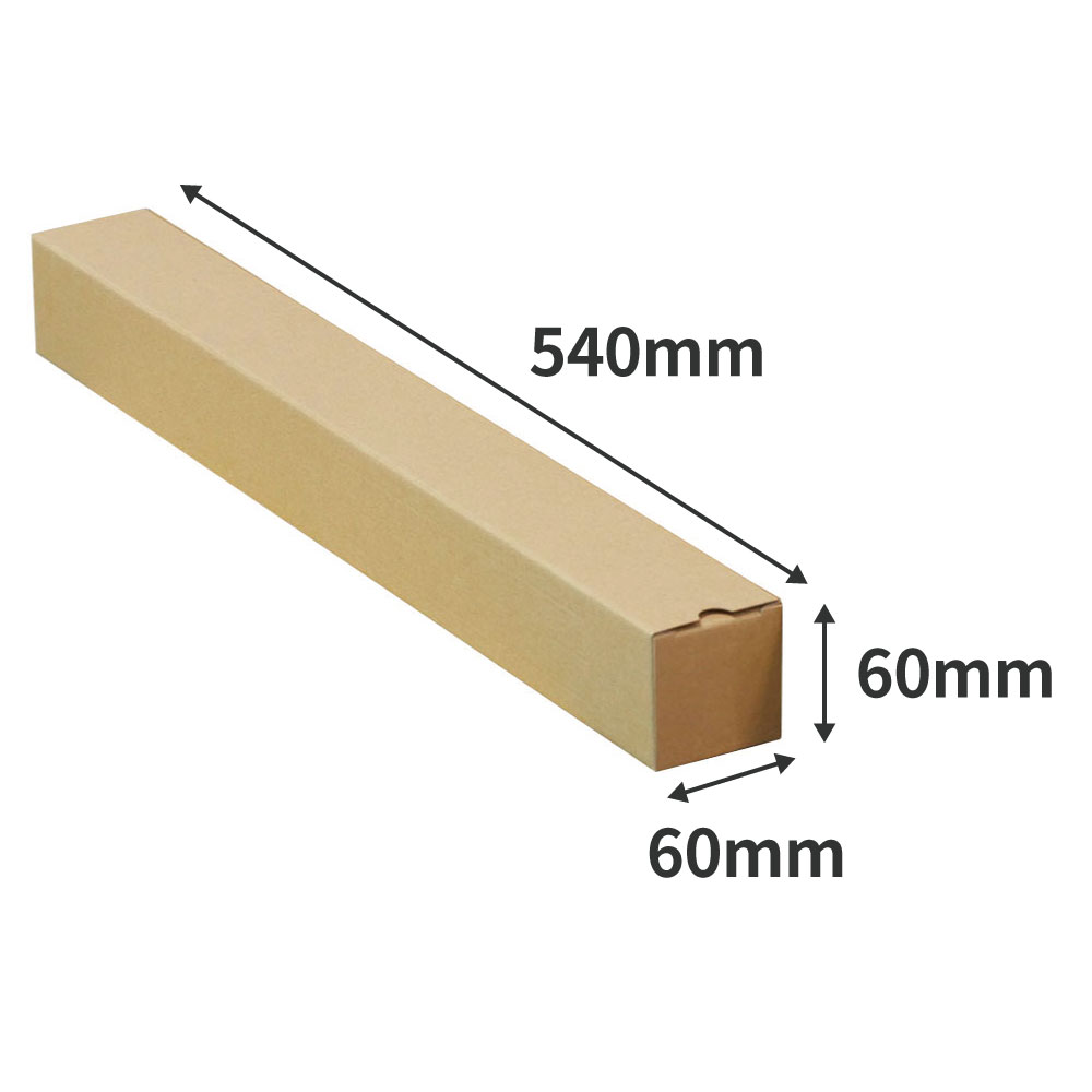 法人限定販売 ポスター カレンダー ダンボール 箱 ゆうパケット B2 ケース 60 60 540mm 本物品質の 超爆安大特価セール 1000枚セット ポスターダンボール カレンダーダンボール 紙管 段ボール ポスターケース ダンボール箱 段ボール箱 郵便 定形外 段ボール