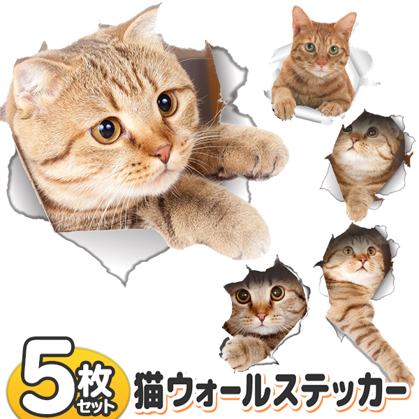 楽天市場 猫 ステッカー 5枚組 とびだすネコ 5枚入り ウォールステッカー リアルねこ かわいい ステッカー シール ワンポイント インテリア まとめ買い まとめ買い とびだす猫dl ベストプライスショップ