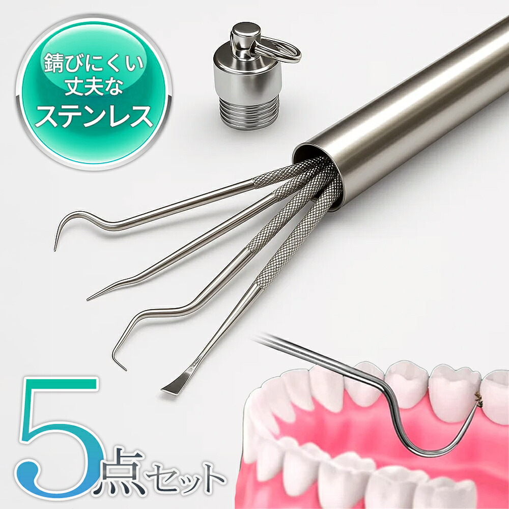 楽天市場】デンタルケア デンタルツールセット 5点セット ステンレス製
