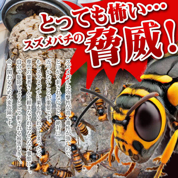 蜂の油絵【蜂の巣】1点物の元の/作者サイン入り/肉筆/F10号 紅葉舞う奥入瀬】油絵原画 F6サイズ 一点物 豪華プレゼント付き
