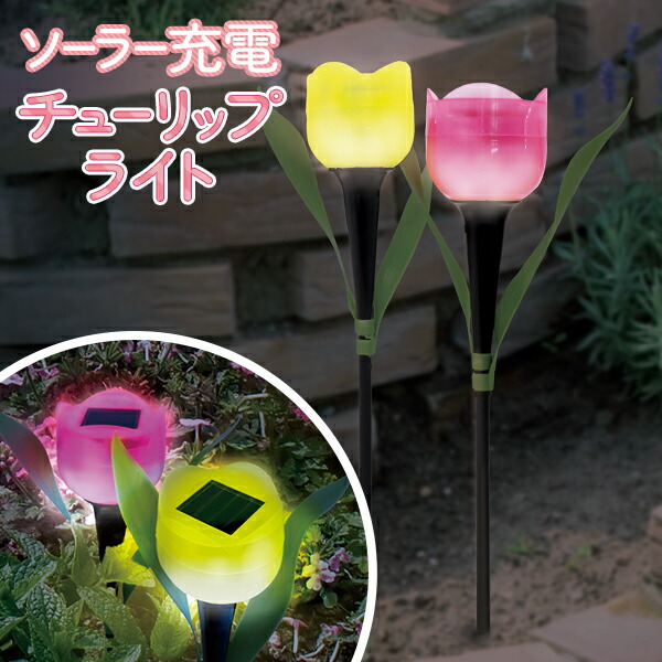 tuliplight.jpg