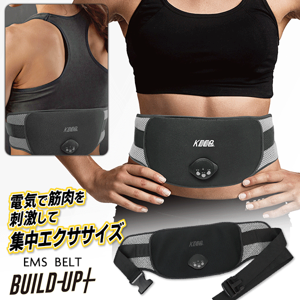 emsbelt_plus.gif