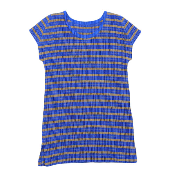 美品 PLEATS PLEASE ISSEY MIYAKE 筋目プリーズ PP01-JK673 大きさ3 間借り人 筋目 カットソー  トップス 青色 ベージュ レディース  IG00523 【中古】
