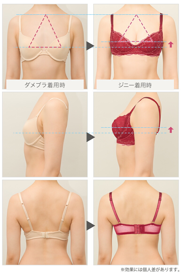 楽天市場 育乳ブラデリスニューヨーク ジニーブラ ステップ1 F Gカップ Bradelis Newyork ジャスミンタイプ 育乳 育乳ブラ いくにゅうぶら 補整 補正 ブラ ブラジャー 谷間 バストアップブラ 産後 卒乳 3 4カップ 下着 公式 ブラデリスニューヨーク
