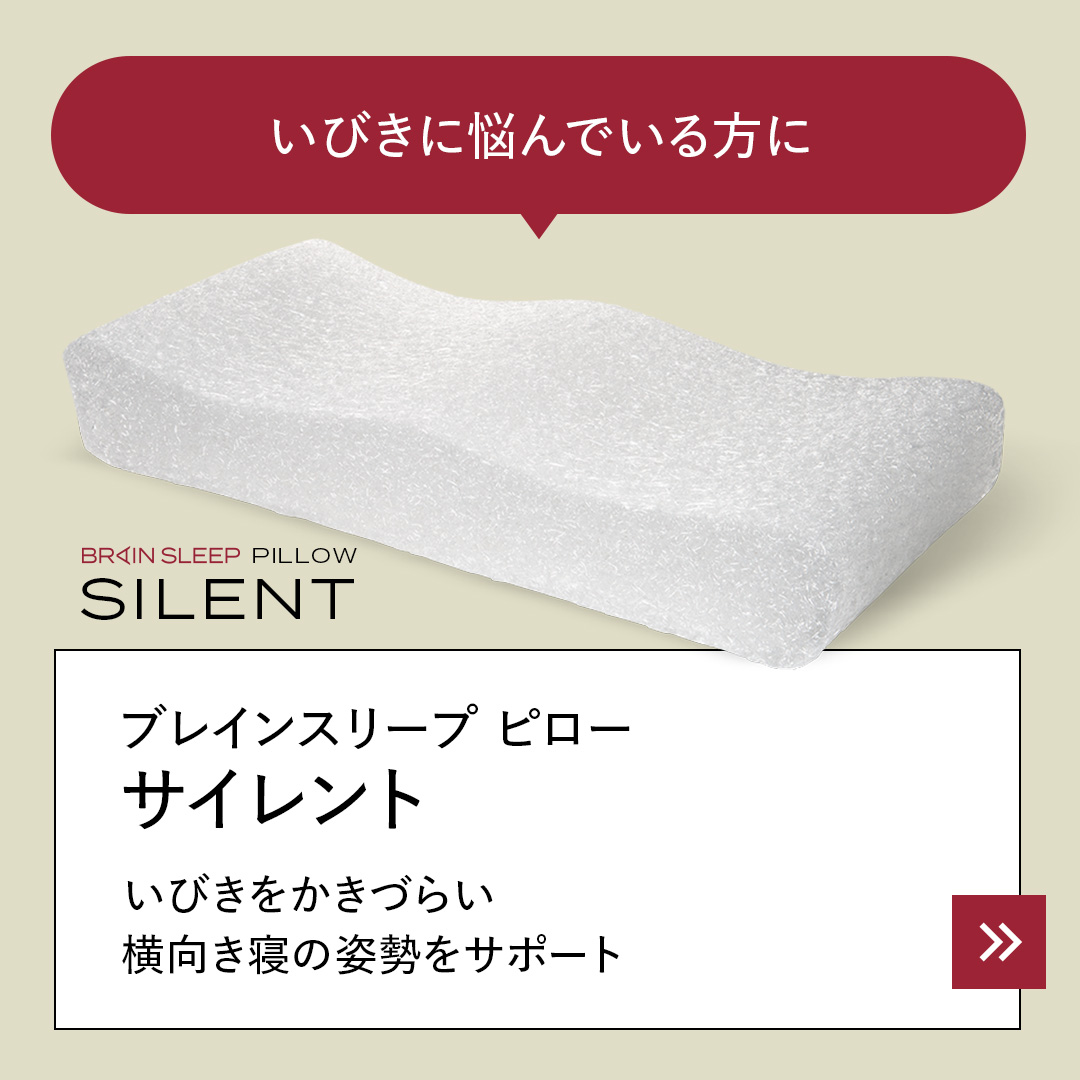 ブレインスリープピロー サイレント　BRAIN SLEEP SILENT BRAIN SLEEP] ブレインスリープ ピロー サイレント