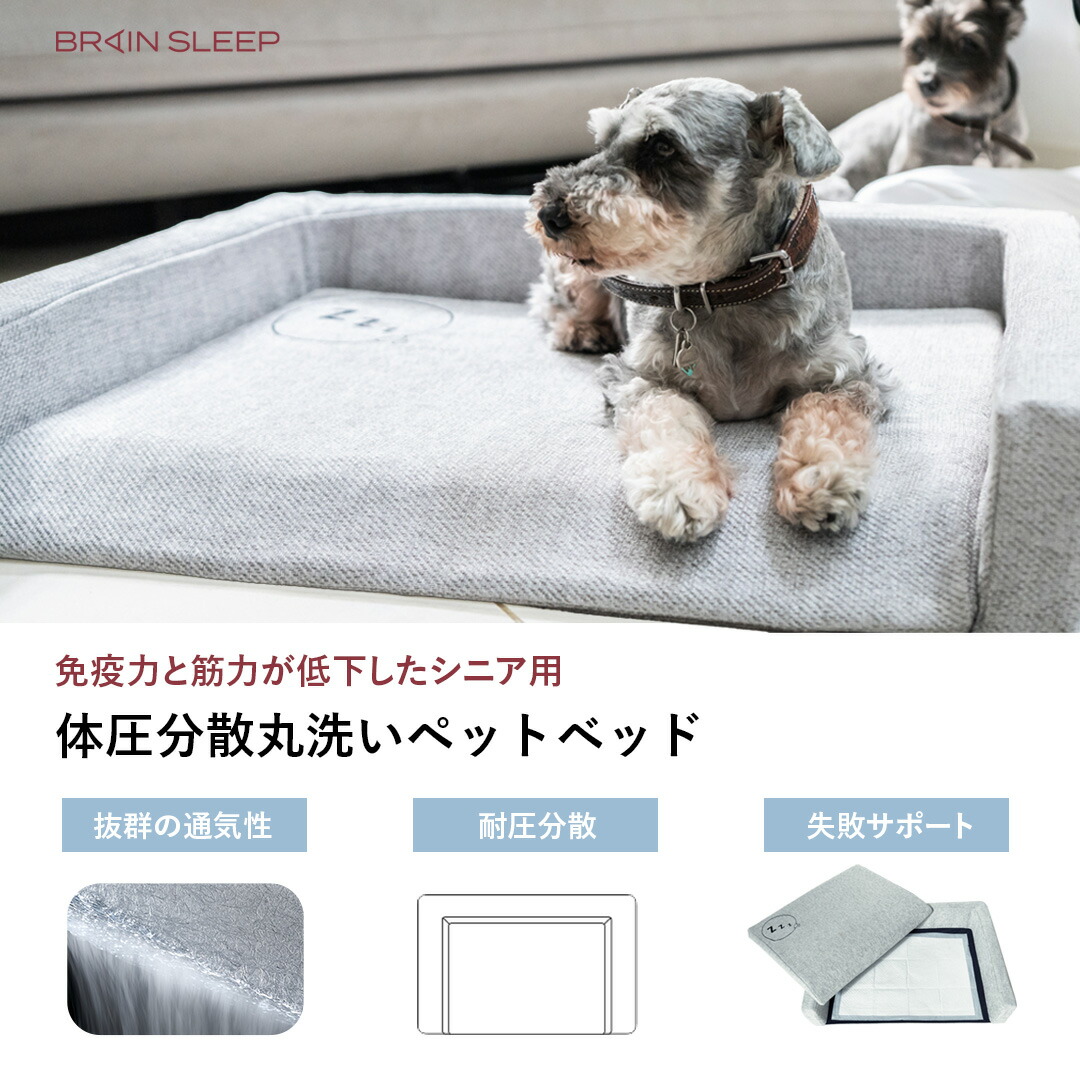 販売 いい友 店黒54センチこね鉢30センチ包丁L判フルイ粉ホーキ 30挽臼コラボセット shteto28 オフィス木村it21
