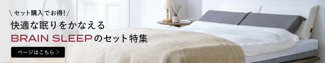 ブレインスリープピロー　1年使用 移動中などマルチウェイな「BRAIN SLEEP PILLOW PORTABLE