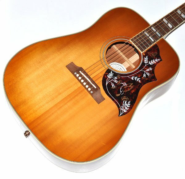 ギブソン gibson ハミングバード ハードケース 状態は良い radimmune.com