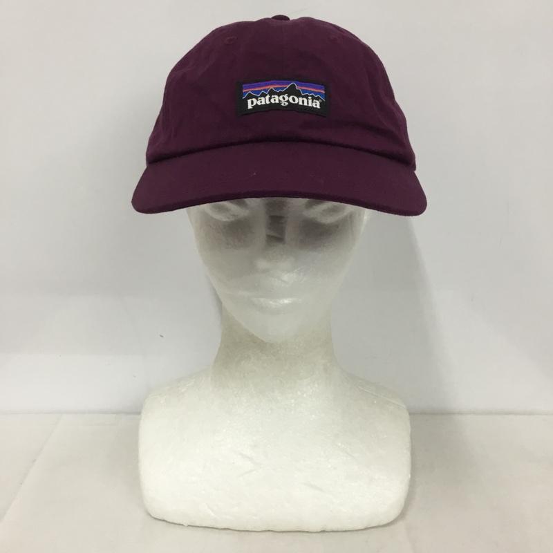 patagonia パタゴニア　キャップ 楽天市場】パタゴニア Patagonia キャップ ティン シェッド