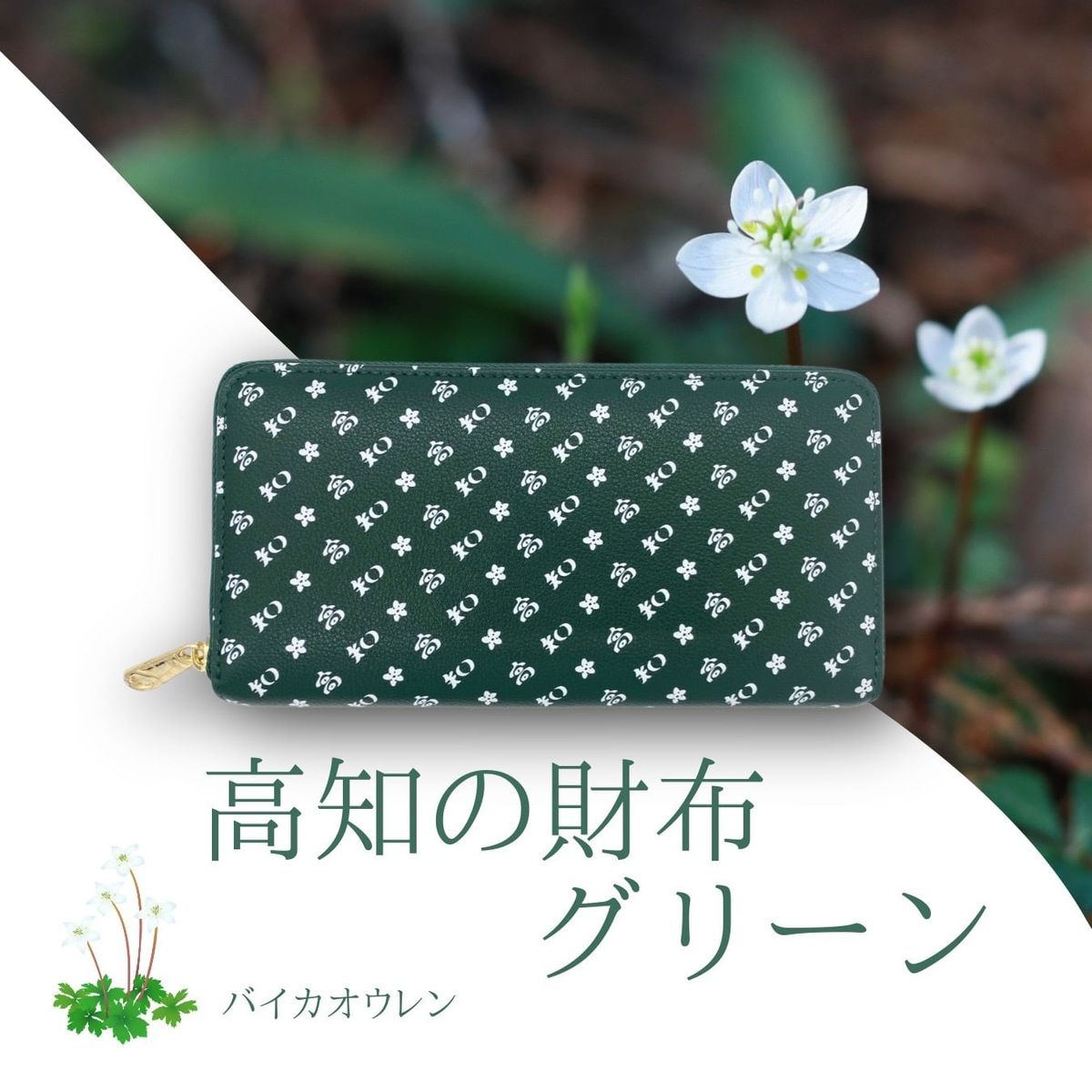 金入れ 長金入れ 緑であること 緑 バイカオウレン レディース メンズ 高知 一粒万倍日 天赦日 メンズ レディース ユニ一発やる 自己同一性的 高知柄 お差し上げ物 差し上げ物 差し上げ物 バレンタイン 生まれ落ちる日 ブランド名高知