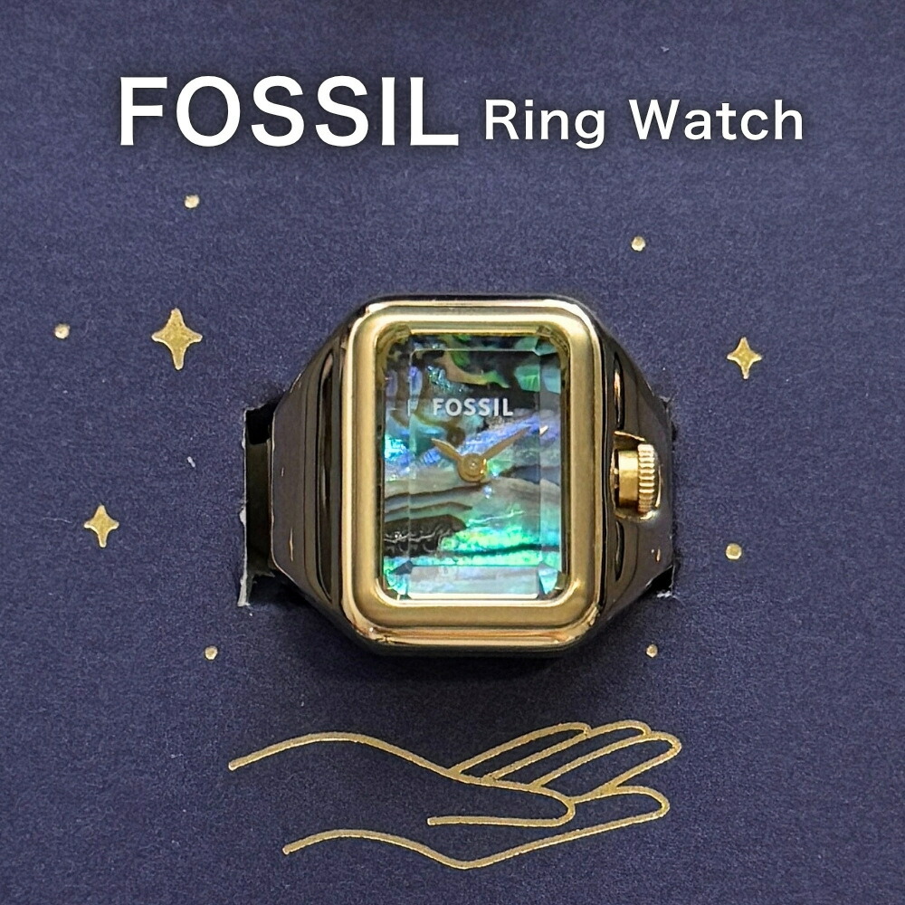 楽天市場】FOSSIL Q フォッシル キュー 腕時計 時計 レディース 女性