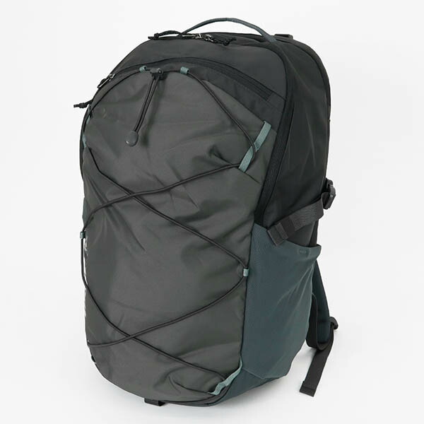 楽天市場】patagonia パタゴニア レフュジオ・デイパック 30L メンズ