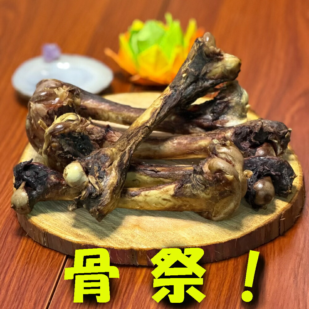 鹿燻製太もも骨+大きな上腕骨 10本 【常温で半年保護すること能力のある】【2回目以後おまけ付き添い人】 くいしんぼのわん達へ！犬用燻製鹿太もも骨（げんこつ） 大大きさ10本 足し加える1.7kg以上 長野県阿智村産