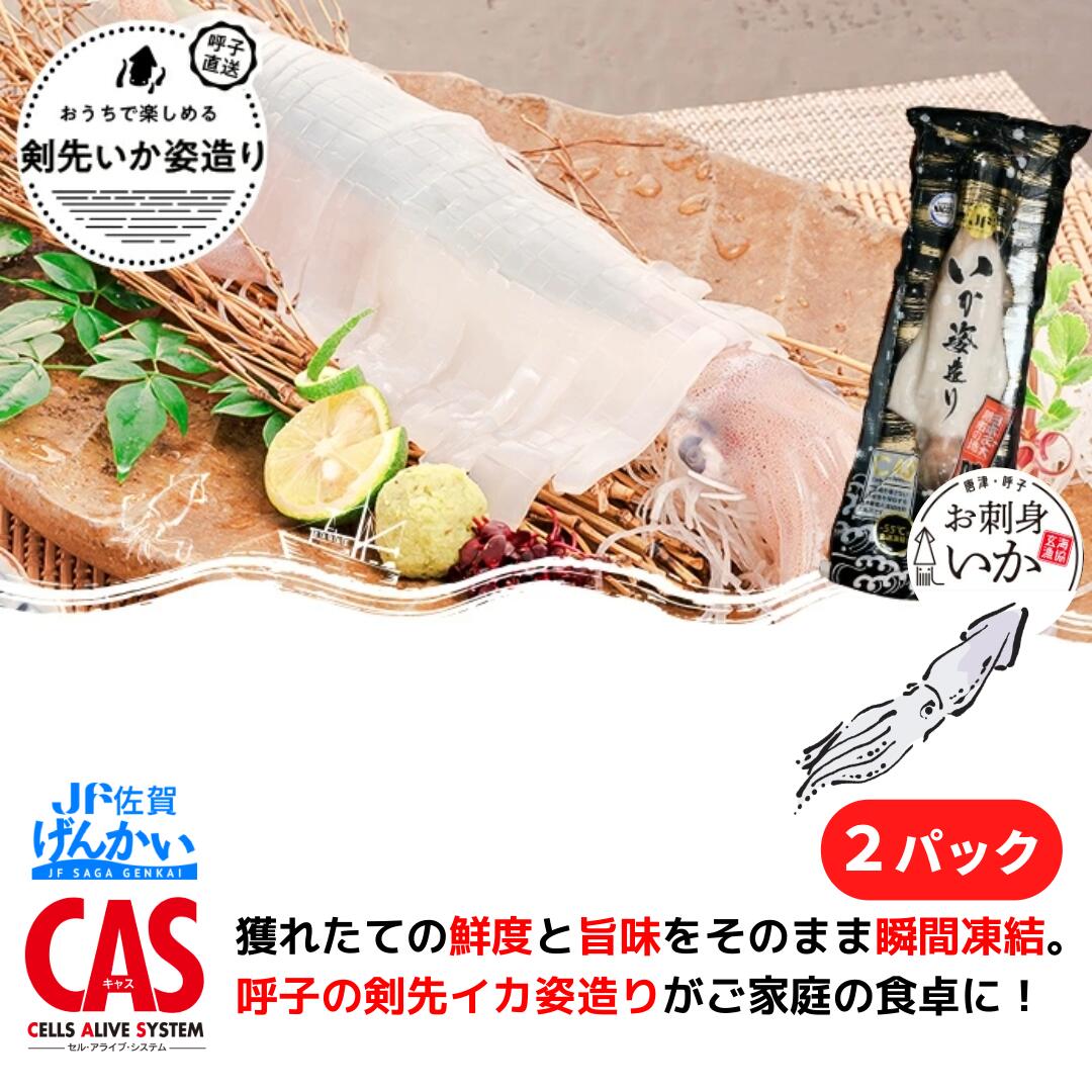 お刺身いか