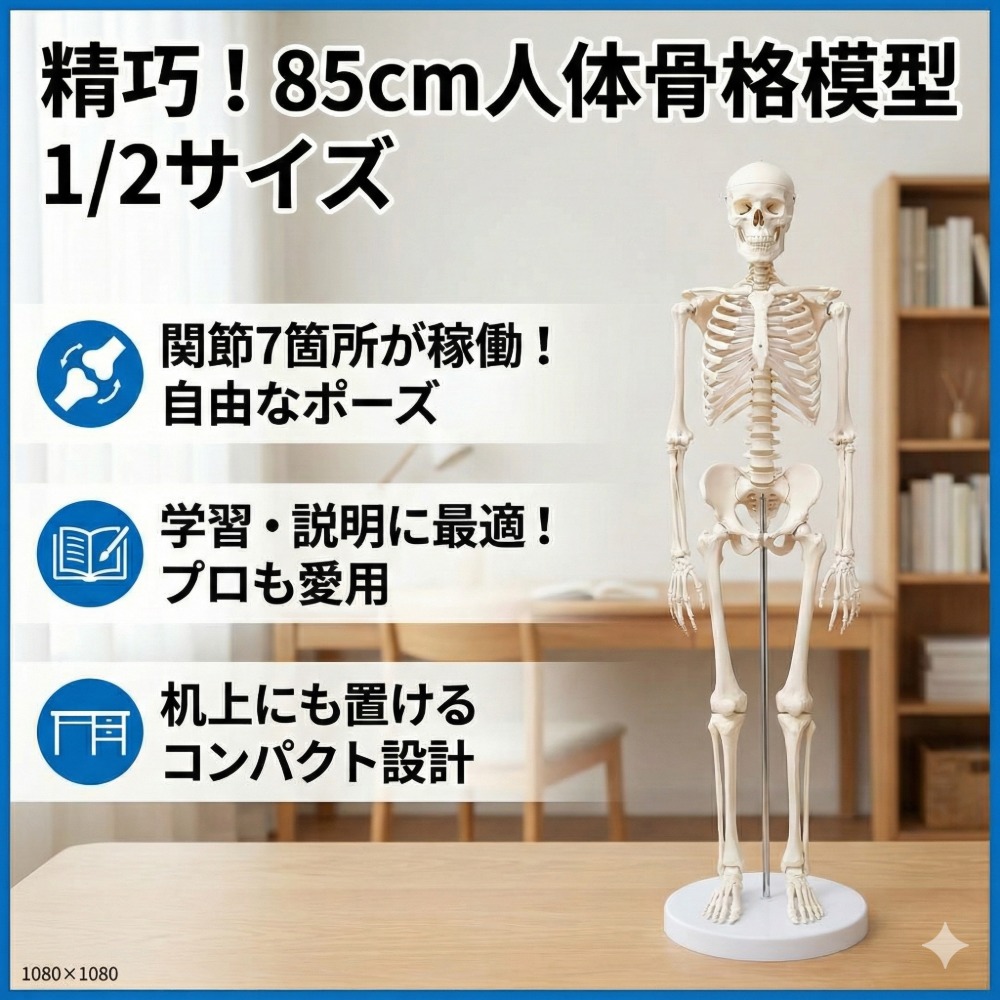 人身骨組みひな形 85珊 1/2大きさ 骨組みひな形 照明ランプ付き添い人 生体解剖学 学びとる用 ひな形 刀圭 教材 整体 鍼灸 瑜伽 明らかにする用 机上 パウダーコンパクト