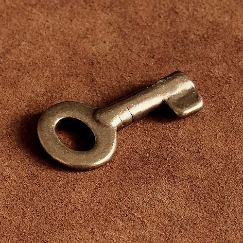 楽天市場 Brass Store ブラスストア ボールチェーン付き 真鍮 鍵 チャーム キーホルダー ネックレス キーホルダー ブラス ペンダントトップ カスタムパーツ 雑貨 キー型 真鍮雑貨 Brass Store