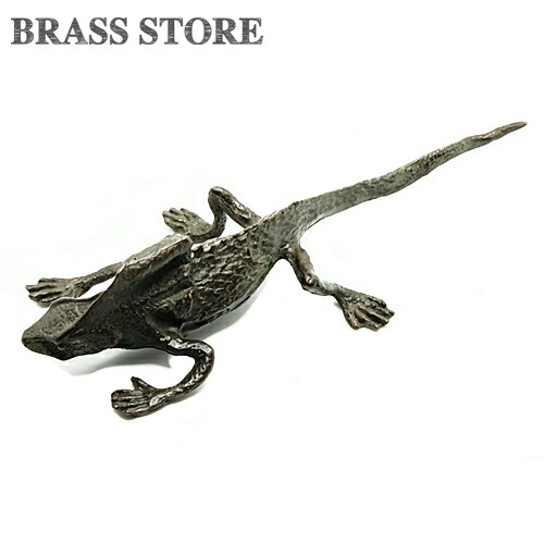 楽天市場】Armadillo Lizard 鎧のような鱗 アルマジロリザードの置物